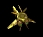 The Probe has you!!